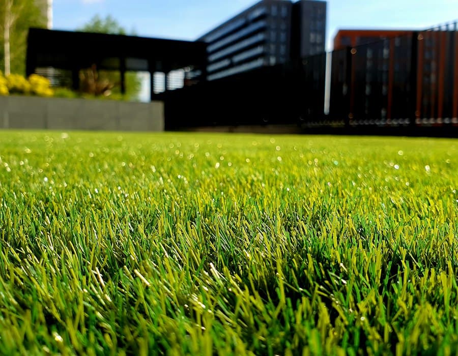 Landscaping & Beautification service